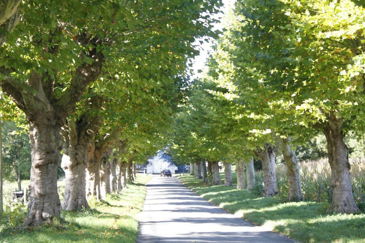 Avenue Du Chateau Saint-Just  Eksteriør bilde